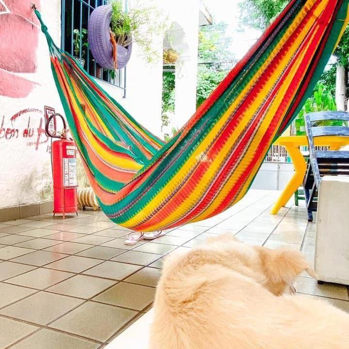 Zili Pernambuco - Hostel Pousada ريسيفي المظهر الخارجي الصورة