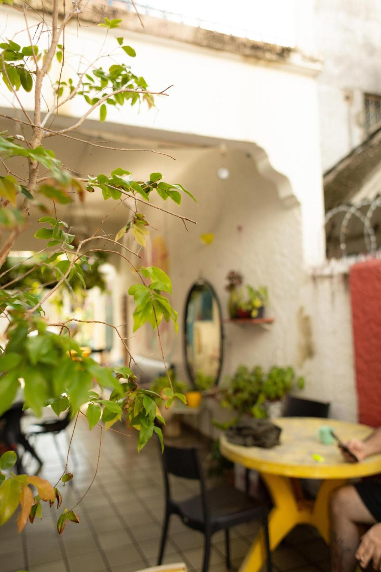 Zili Pernambuco - Hostel Pousada ريسيفي المظهر الخارجي الصورة